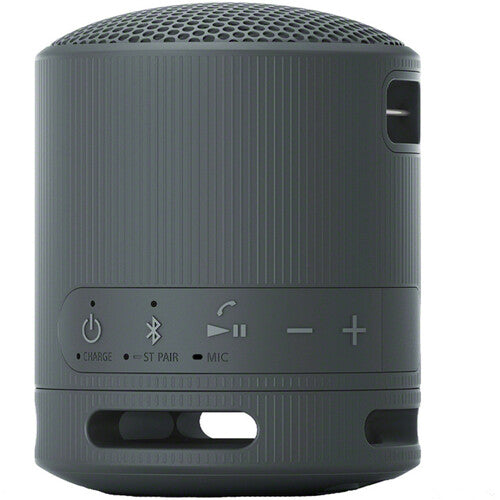 Sony SRS-XB100 Portable Wireless Speaker