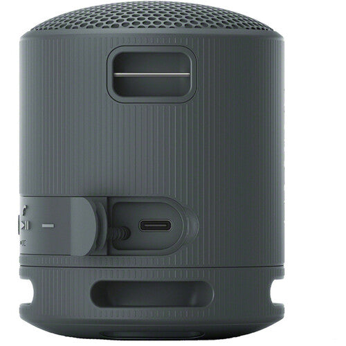 Sony SRS-XB100 Portable Wireless Speaker