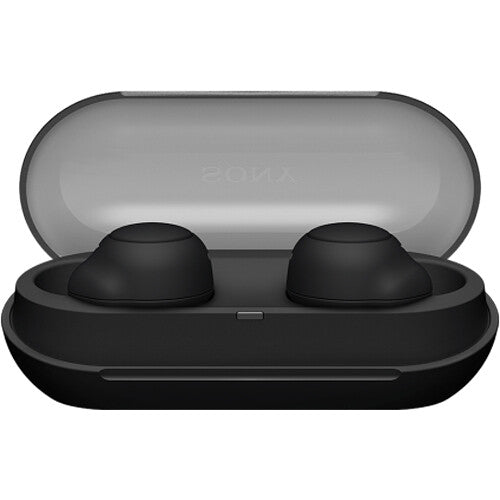 Sony WF-C500 True Wireless Earbuds