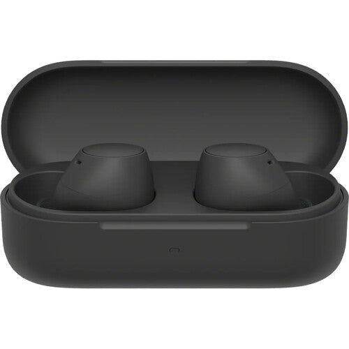 Sony WF-C510 True Wireless Earbuds