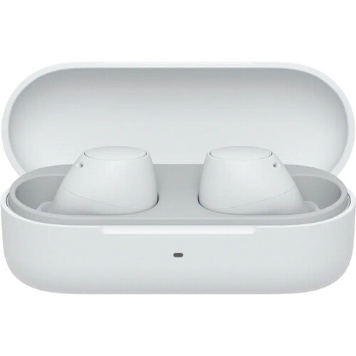 Sony WF-C510 True Wireless Earbuds