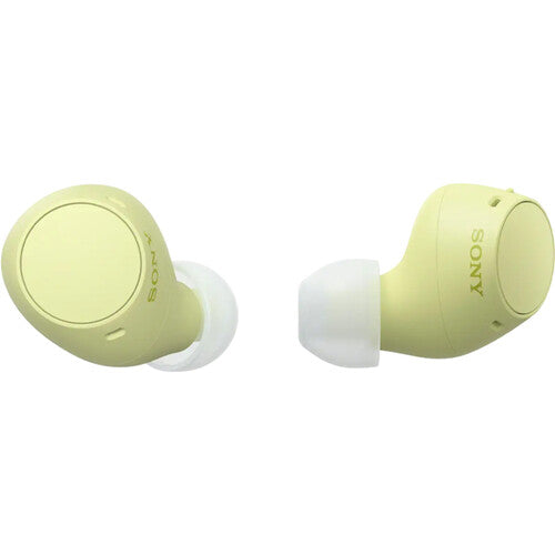 Sony WF-C510 True Wireless Earbuds