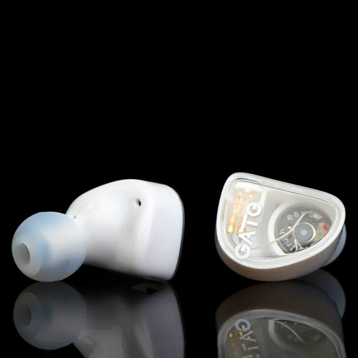 Truthear Gate IEM With Mic